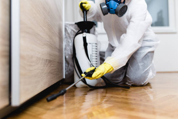 Ben Lomond, CA Pest Control Pros