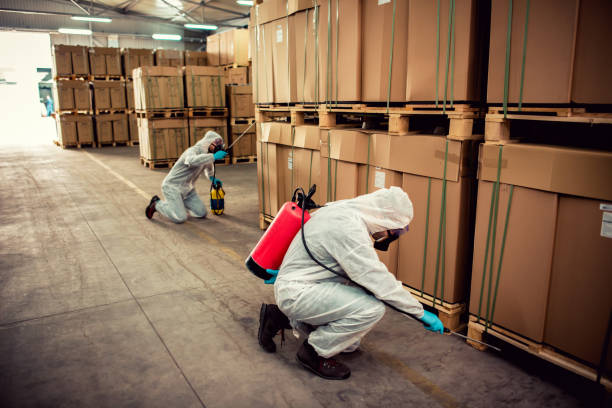 Flea Control Services in Ben Lomond, CA