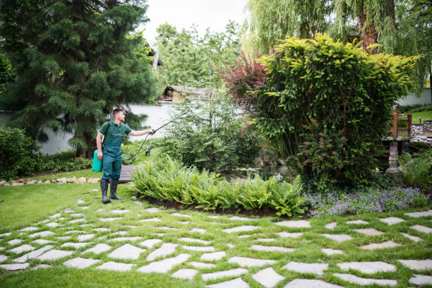 Trusted Ben Lomond, CA Pest Control Experts
