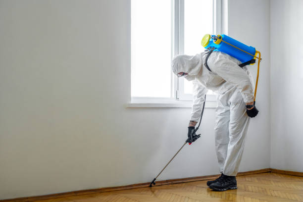 Best Pest Control Near Me  in Ben Lomond, CA