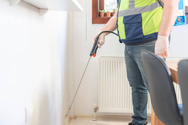 Best Wasp Removal Services  in Ben Lomond, CA