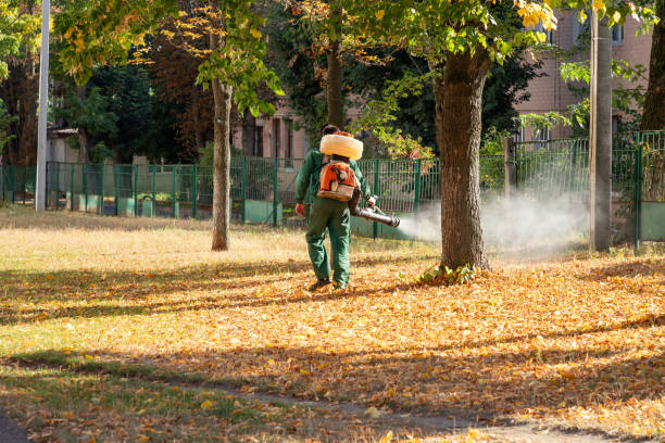 Best Pest Prevention Services  in Ben Lomond, CA