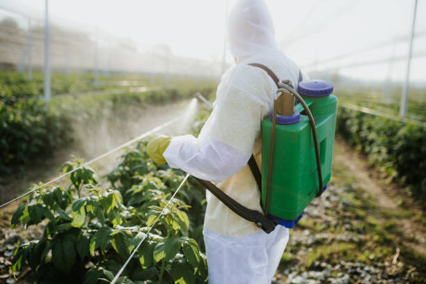 Best Best Pest Control Companies  in Ben Lomond, CA